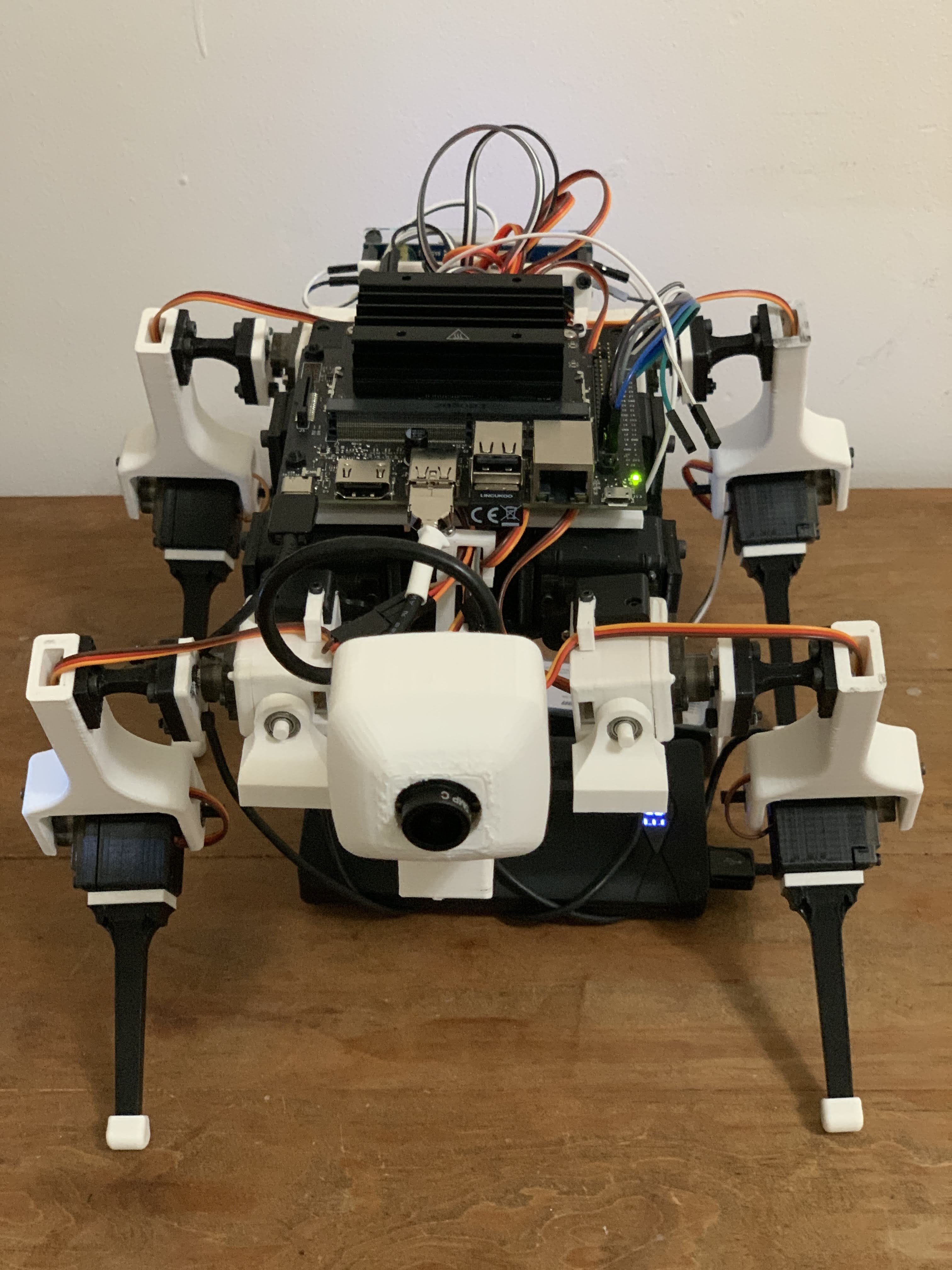 Cuatroped - 3D printed quadruped robot